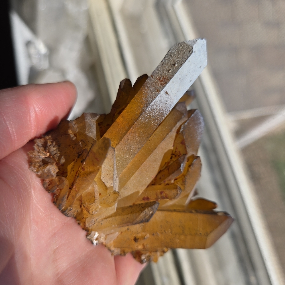 Solaris Quartz Cluster - Picture 6 of 10